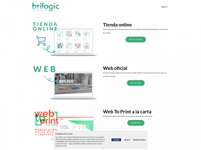 brilogicdigital.com snapshot