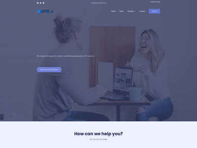 level4.com.ng snapshot