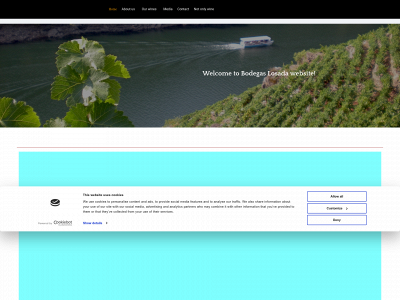 www.bodegalosadafernandez.com snapshot