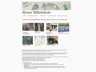 struerbilledskole.dk snapshot