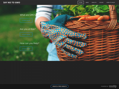 saynogmo.weebly.com snapshot