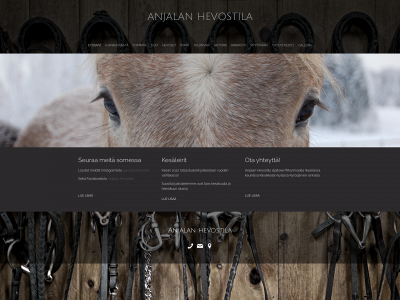 anjalanhevostila.fi snapshot