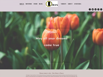 djuun.nl snapshot