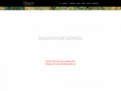 labradoren.se snapshot