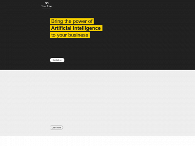 tensorbridge.com snapshot