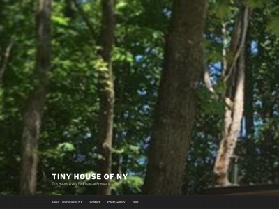 tinyhouseofny.com snapshot