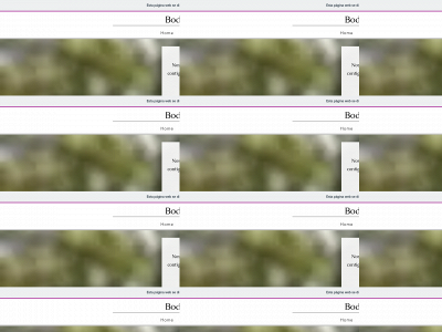 bodadeelenaymanuel.com snapshot