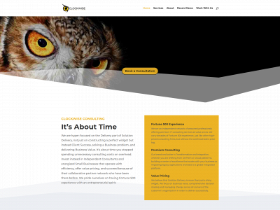 clockwiseit.com snapshot