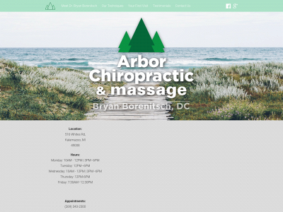 arbor-chiropractic.com snapshot