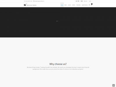 twinlegacytrading.com snapshot