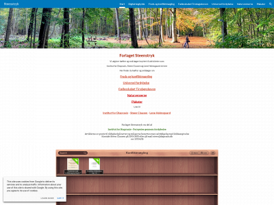 steenstryk.dk snapshot