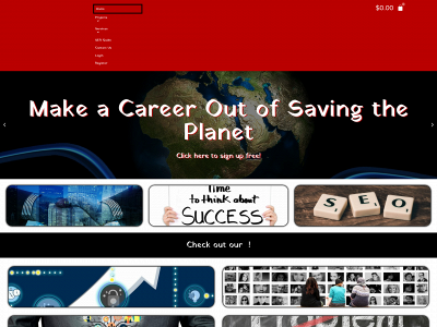 arndtseo.com snapshot