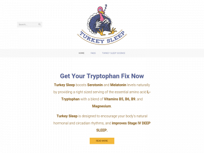 turkeysleep.com snapshot