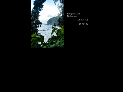 noel-gopinath.de snapshot