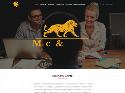 mcgreygroup.com snapshot