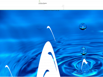 limitlessripples.com snapshot