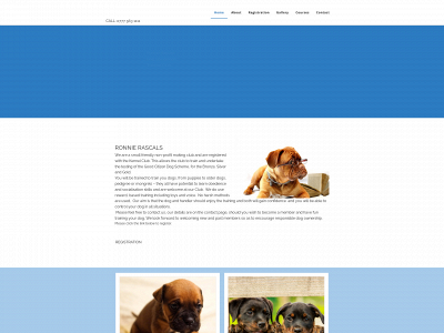 ronnierascalsdogtrainingclub.co.uk snapshot
