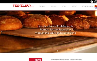 tekbelsur.es snapshot