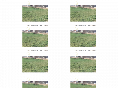 grundejerforeningen-aasvinget.dk snapshot