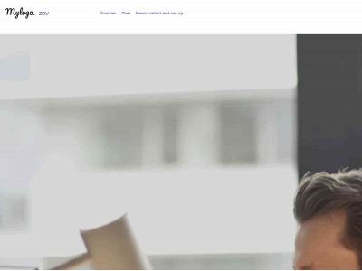 zzpdetavast.nl snapshot