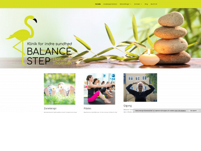 balancestep.dk snapshot