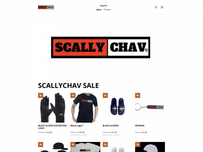 scallychav.com snapshot