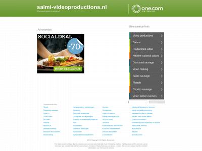 salmi-videoproductions.nl snapshot