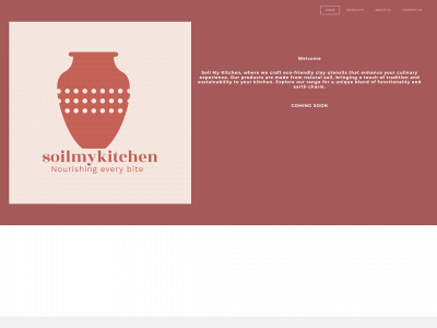 www.soilmykitchen.com snapshot