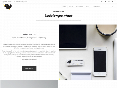 socialmyna.com snapshot
