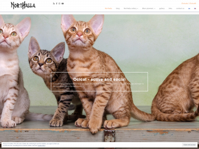northalla.fi snapshot