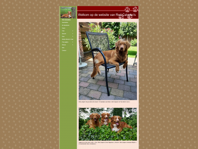 redcalypso.nl snapshot