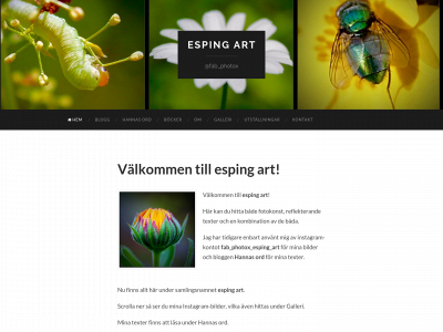 espingart.se snapshot