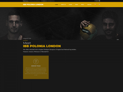 ibbpolonia.com snapshot