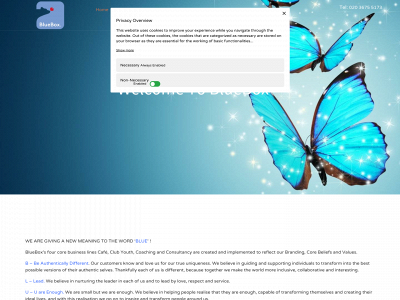 theblueboxinlondon.com snapshot