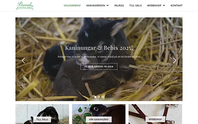 brearedskaningard.se snapshot
