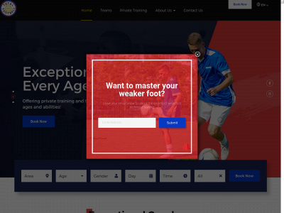 totalfootballhk.com snapshot