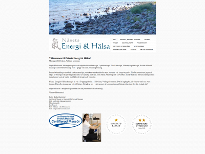 nasetsenergiohalsa.se snapshot