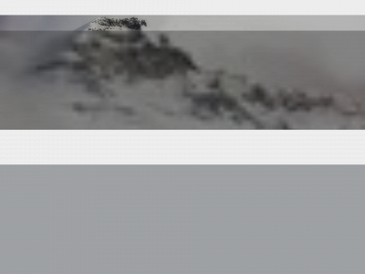 saltenconsult.no snapshot
