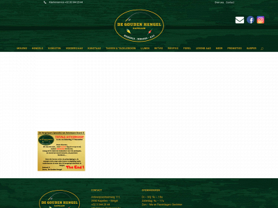 degoudenhengel.be snapshot