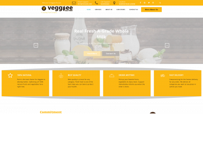 veggiee.com snapshot