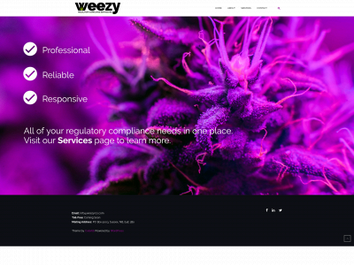 weezyrcs.com snapshot