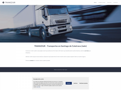 transziur.com snapshot