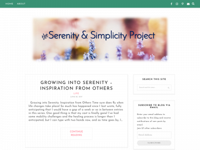 serenityandsimplicityproject.com snapshot