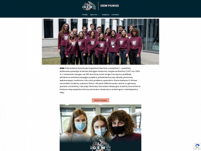 vilniusigem.lt snapshot