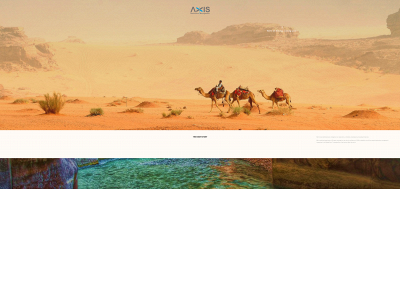 axisdmc.com snapshot