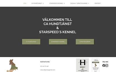cahundtjanst.com snapshot
