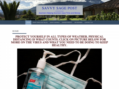savvysagepost.com snapshot