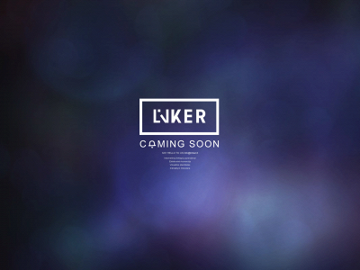 linker.lt snapshot