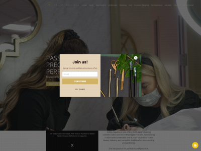 ashaquilina.co.uk snapshot