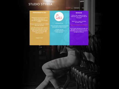 studiostyrka.se snapshot